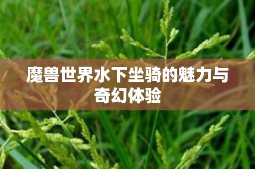 魔兽世界水下坐骑的魅力与奇幻体验 魔兽世界水下坐骑的魅力与奇幻体验