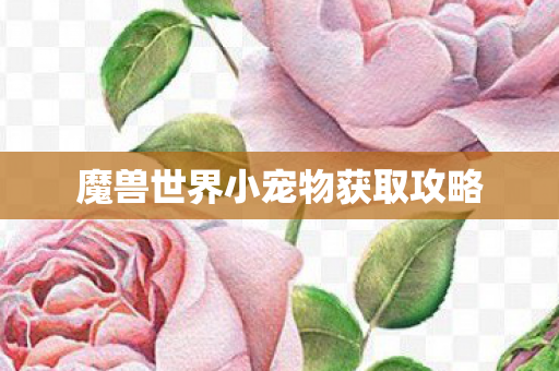 魔兽世界小宠物获取攻略 魔兽世界小宠物获取攻略