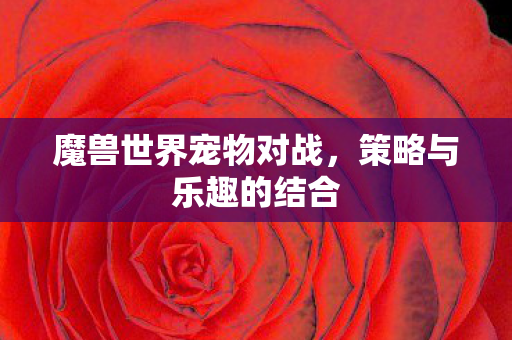 魔兽世界宠物对战,策略与乐趣的结合 魔兽世界宠物对战,策略与乐趣的结合