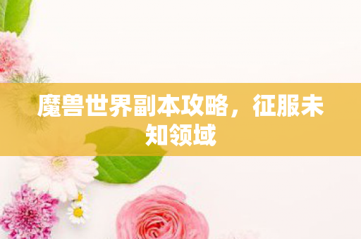 魔兽世界副本攻略，征服未知领域