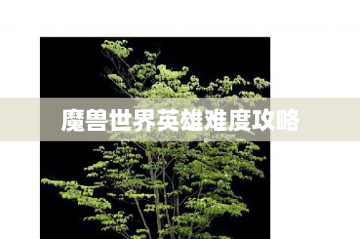 魔兽世界英雄难度攻略 魔兽世界英雄难度攻略