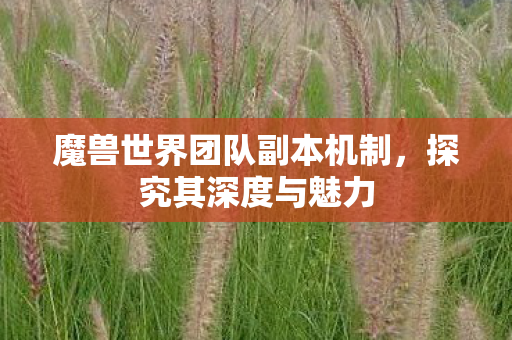 魔兽世界团队副本机制,探究其深度与魅力 魔兽世界团队副本机制,探究其深度与魅力