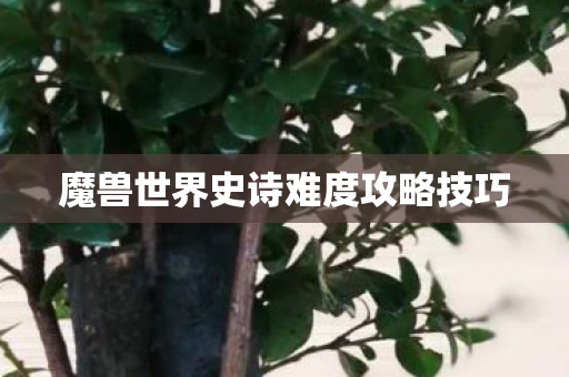 魔兽世界史诗难度攻略技巧 魔兽世界史诗难度攻略技巧