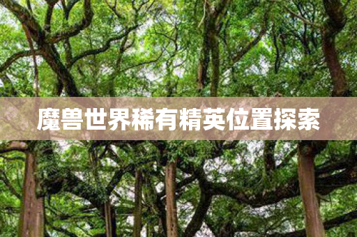 魔兽世界稀有精英位置探索