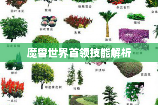 魔兽世界首领技能解析