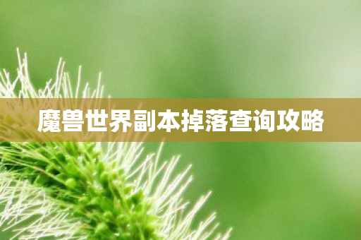 魔兽世界副本掉落查询攻略 魔兽世界副本掉落查询攻略