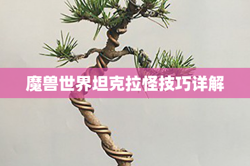 魔兽世界坦克拉怪技巧详解 魔兽世界坦克拉怪技巧详解