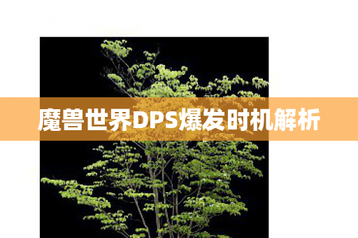魔兽世界DPS爆发时机解析 魔兽世界DPS爆发时机解析