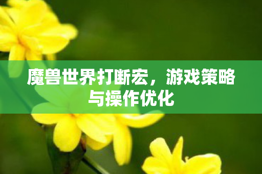 魔兽世界打断宏，游戏策略与操作优化