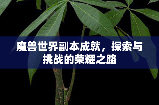 魔兽世界副本成就,探索与挑战的荣耀之路 魔兽世界副本成就,探索与挑战的荣耀之路
