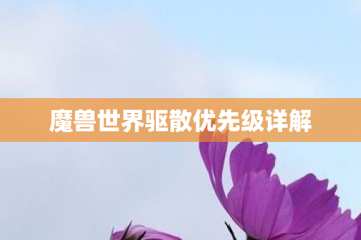 魔兽世界驱散优先级详解 魔兽世界驱散优先级详解
