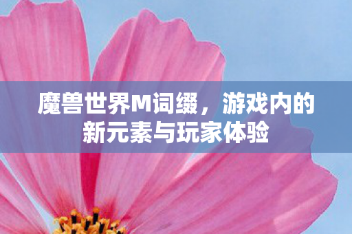魔兽世界M词缀,游戏内的新元素与玩家体验 魔兽世界M词缀,游戏内的新元素与玩家体验