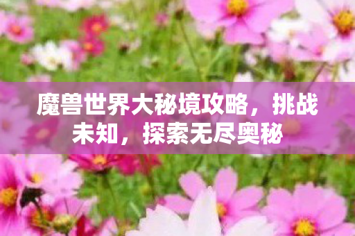 魔兽世界大秘境攻略,挑战未知,探索无尽奥秘 魔兽世界大秘境攻略,挑战未知,探索无尽奥秘