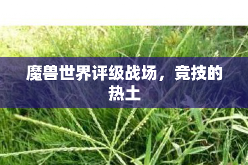 魔兽世界评级战场,竞技的热土 魔兽世界评级战场,竞技的热土