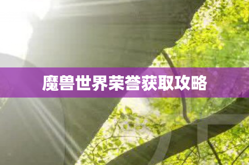 魔兽世界荣誉获取攻略 魔兽世界荣誉获取攻略