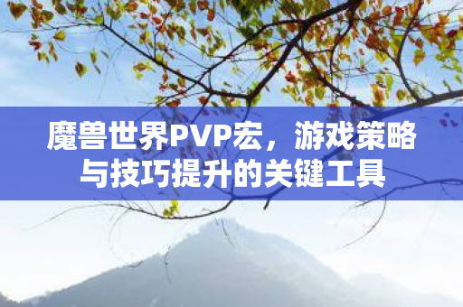 魔兽世界PVP宏,游戏策略与技巧提升的关键工具 魔兽世界PVP宏,游戏策略与技巧提升的关键工具