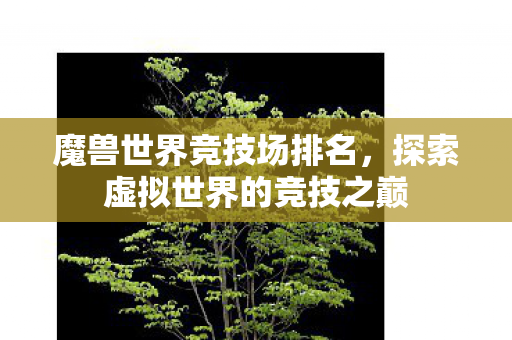 魔兽世界竞技场排名,探索虚拟世界的竞技之巅 魔兽世界竞技场排名,探索虚拟世界的竞技之巅
