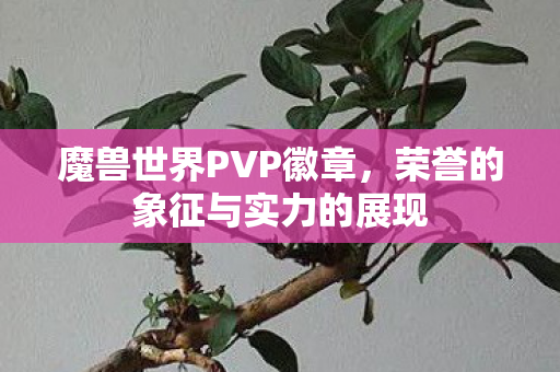 魔兽世界PVP徽章,荣誉的象征与实力的展现 魔兽世界PVP徽章,荣誉的象征与实力的展现