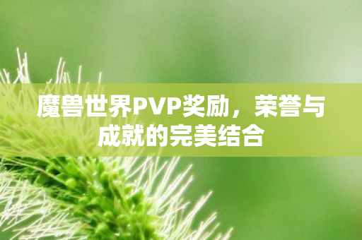 魔兽世界PVP奖励,荣誉与成就的完美结合 魔兽世界PVP奖励,荣誉与成就的完美结合