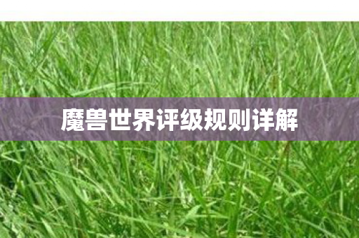 魔兽世界评级规则详解 魔兽世界评级规则详解