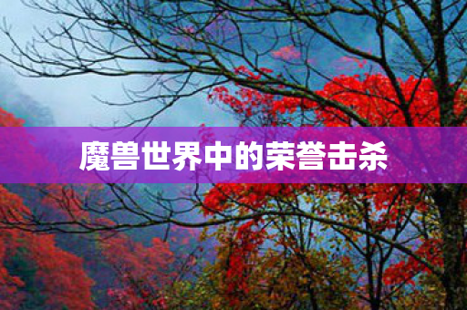 魔兽世界中的荣誉击杀 魔兽世界中的荣誉击杀