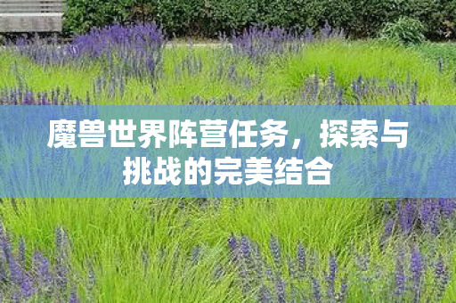 魔兽世界阵营任务,探索与挑战的完美结合 魔兽世界阵营任务,探索与挑战的完美结合