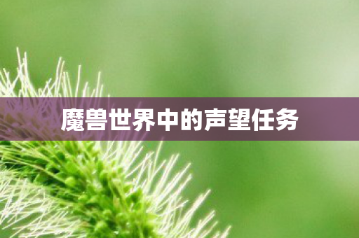 魔兽世界中的声望任务 魔兽世界中的声望任务