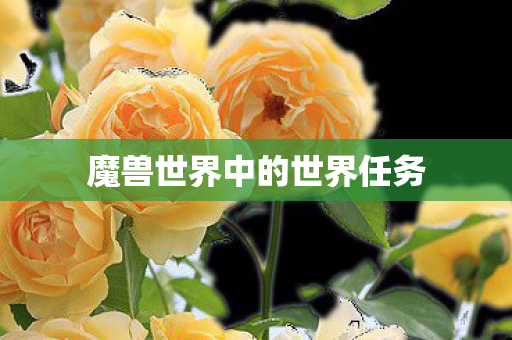 魔兽世界中的世界任务 魔兽世界中的世界任务