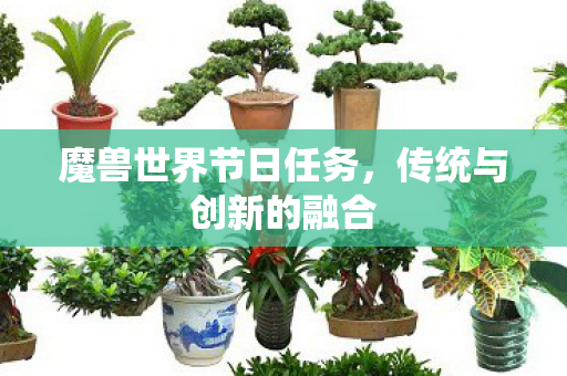 魔兽世界节日任务,传统与创新的融合 魔兽世界节日任务,传统与创新的融合