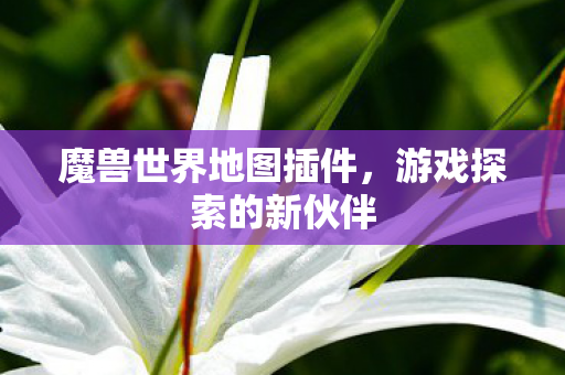 魔兽世界地图插件,游戏探索的新伙伴 魔兽世界地图插件,游戏探索的新伙伴