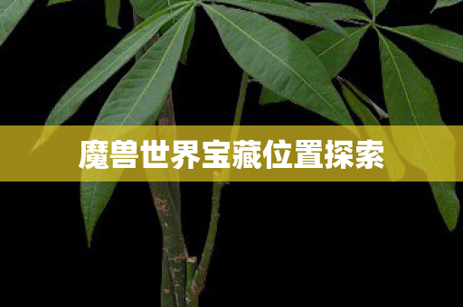 魔兽世界宝藏位置探索 魔兽世界宝藏位置探索
