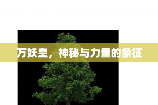 万妖皇，神秘与力量的象征