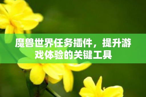 魔兽世界任务插件,提升游戏体验的关键工具 魔兽世界任务插件,提升游戏体验的关键工具