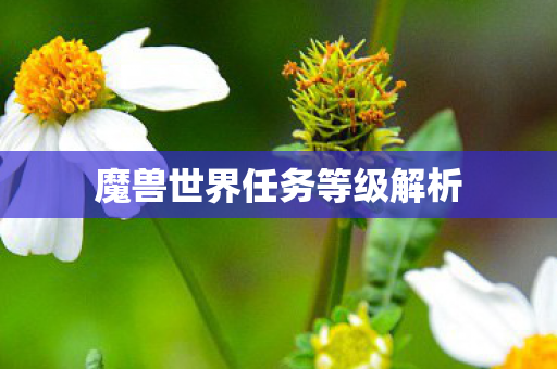 魔兽世界任务等级解析 魔兽世界任务等级解析