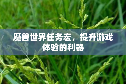 魔兽世界任务宏,提升游戏体验的利器 魔兽世界任务宏,提升游戏体验的利器