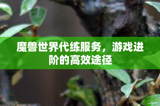 魔兽世界代练服务，游戏进阶的高效途径