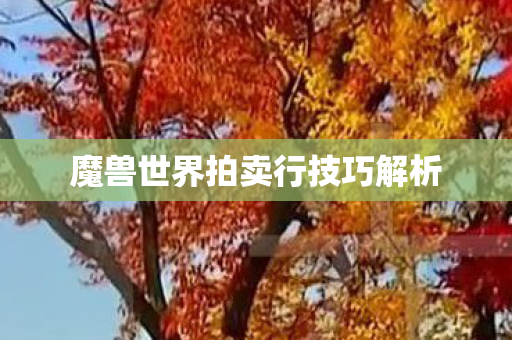 魔兽世界拍卖行技巧解析 魔兽世界拍卖行技巧解析