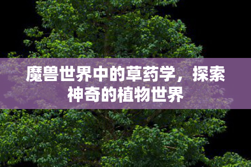 魔兽世界中的草药学,探索神奇的植物世界 魔兽世界中的草药学,探索神奇的植物世界