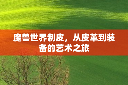 魔兽世界制皮,从皮革到装备的艺术之旅 魔兽世界制皮,从皮革到装备的艺术之旅