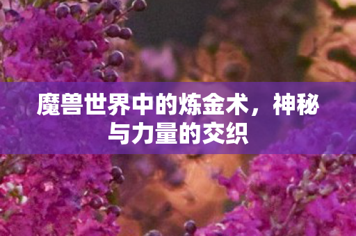 魔兽世界中的炼金术,神秘与力量的交织 魔兽世界中的炼金术,神秘与力量的交织