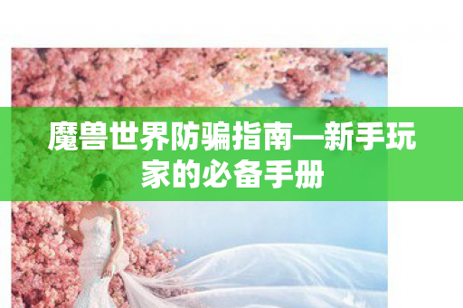 魔兽世界防骗指南—新手玩家的必备手册