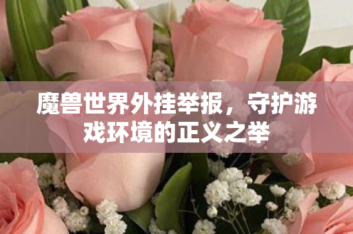魔兽世界外挂举报，守护游戏环境的正义之举