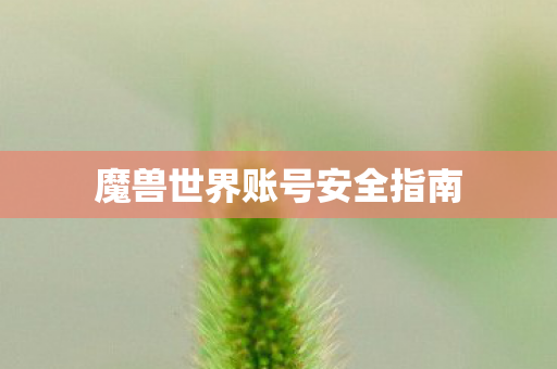 魔兽世界账号安全指南 魔兽世界账号安全指南
