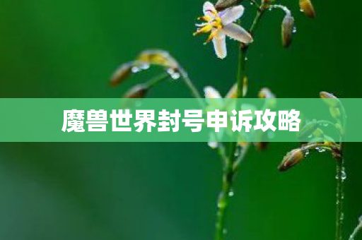魔兽世界封号申诉攻略 魔兽世界封号申诉攻略