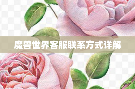 魔兽世界客服联系方式详解