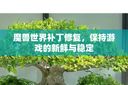 魔兽世界补丁修复,保持游戏的新鲜与稳定 魔兽世界补丁修复,保持游戏的新鲜与稳定