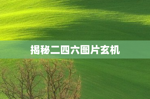 揭秘二四六图片玄机 揭秘二四六图片玄机