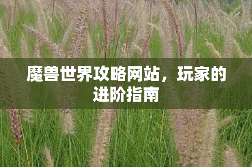 魔兽世界攻略网站,玩家的进阶指南 魔兽世界攻略网站,玩家的进阶指南