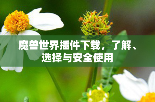 魔兽世界插件下载,了解、选择与安全使用 魔兽世界插件下载,了解、选择与安全使用