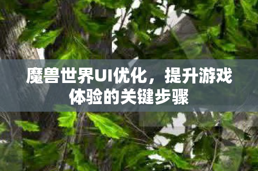 魔兽世界UI优化,提升游戏体验的关键步骤 魔兽世界UI优化,提升游戏体验的关键步骤